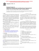 Preview ASTM A1033-04 1.3.2004