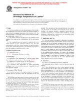 Preview ASTM D6076-03 1.10.2003