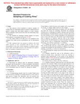 Preview ASTM D6206-03 10.1.2003