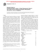 WITHDRAWN ASTM E1913-97 10.10.1997 preview