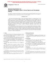 Preview ASTM F1163-04 1.6.2004