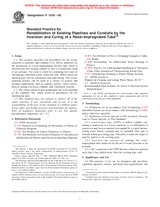 Preview ASTM F1216-05 1.3.2005