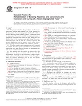 Preview ASTM F1216-08 1.11.2008