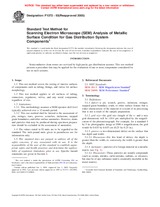 Preview ASTM F1372-93(2005) 10.6.1999