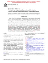 Preview ASTM F1383-11 1.7.2011