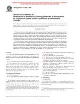 Preview ASTM F1383-99a 10.6.1999
