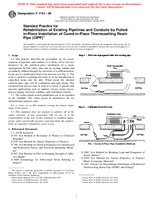 Preview ASTM F1743-96 10.11.1996