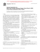 Preview ASTM F1807-99 10.4.1999