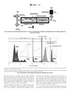 Preview ASTM D6877-13e1 1.10.2013