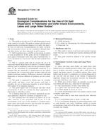 Preview ASTM F1210-08 1.3.2008