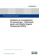 Standard BS 8576:2013 30.4.2013 preview