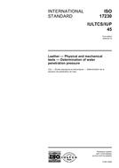 Standard ISO 17230:2006 14.9.2006 preview