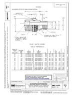 Standard SAE AS4099D 1.3.2012 preview