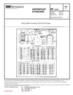 Standard SAE AS972B 1.7.1977 preview