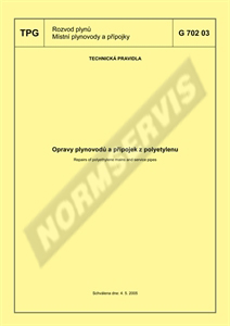 Standard TPG 70203 4.5.2005 preview