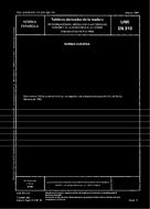 Standard UNE-EN 310:1994 24.3.1994 preview